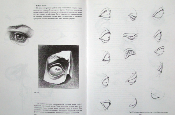 Основы академического рисунка Николай ли глаза