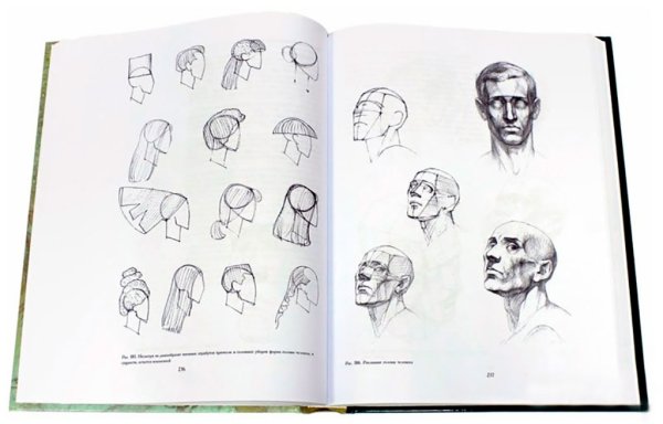 Академический рисунок учебное пособие