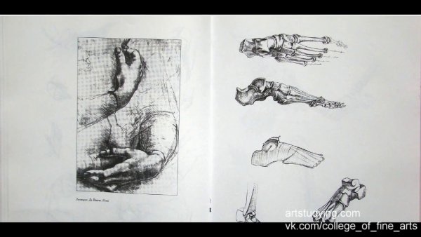 Книга Николай ли основы учебного академического