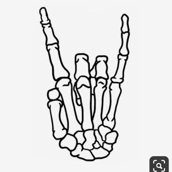 Кисть скелета референс