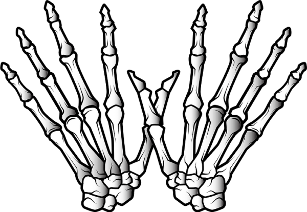 Кисть руки скелет