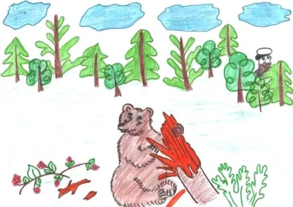 Иллюстрации к сказке музыкант Бианки