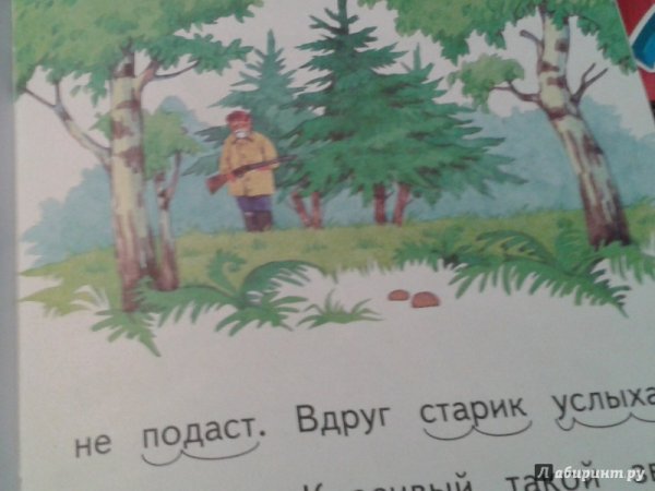 Медведь музыкант Бианки