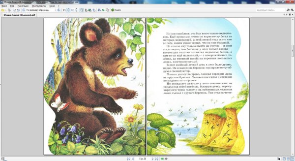 Бианки музыкант