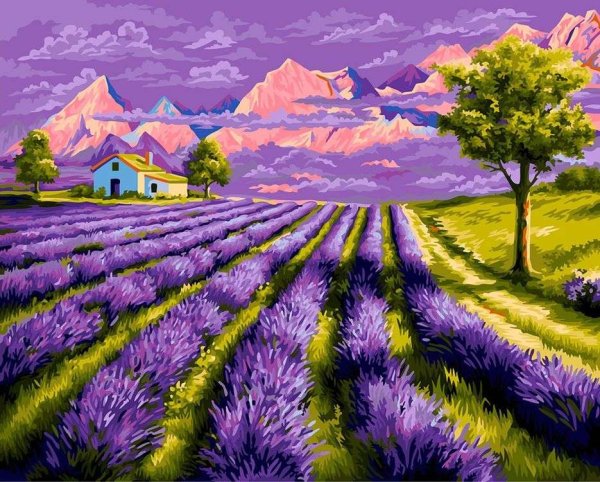 Картина по номерам Фрея Лаванда