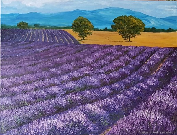 Лавандовые поля Италия Тоскана