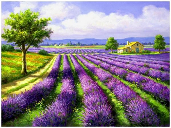 Алмазная мозаика Лавандовое поле 40х50