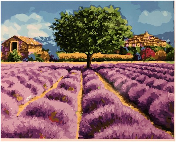 Лавандовые поля Жан Марк Жаньячик