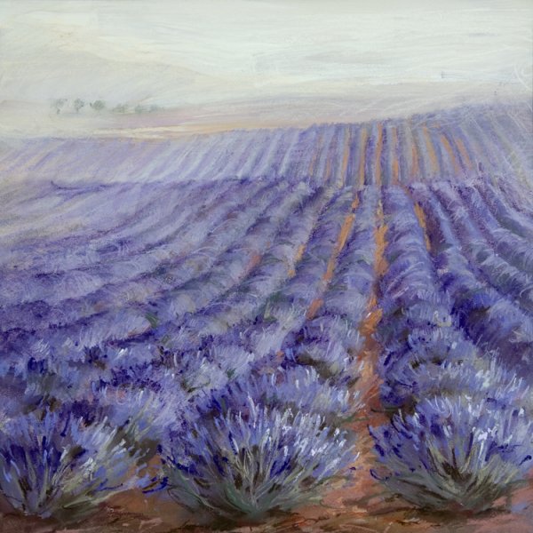 Провансальская Лаванда Ван Гог