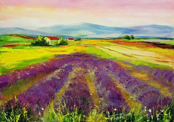 Лавандовые поля Кристиан Жекель