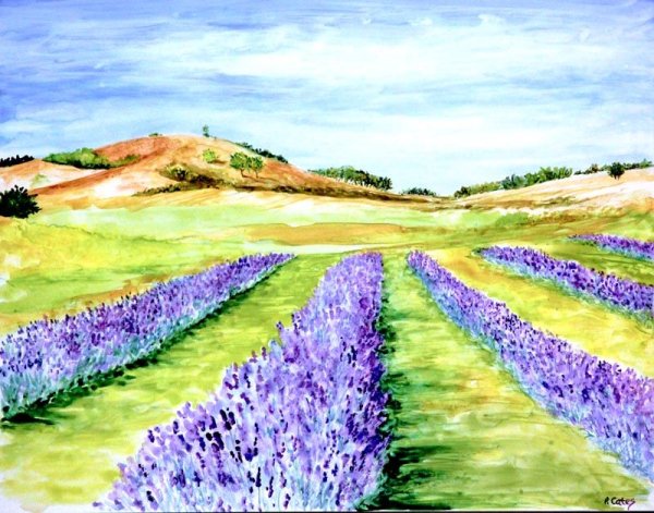 Лавандовое поле цветными карандашами