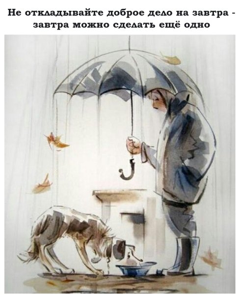 Человек с собакой под дождем