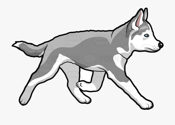 Нарисовать бегущую собаку