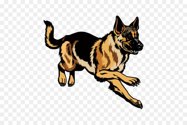 Собака бежит на белом фоне