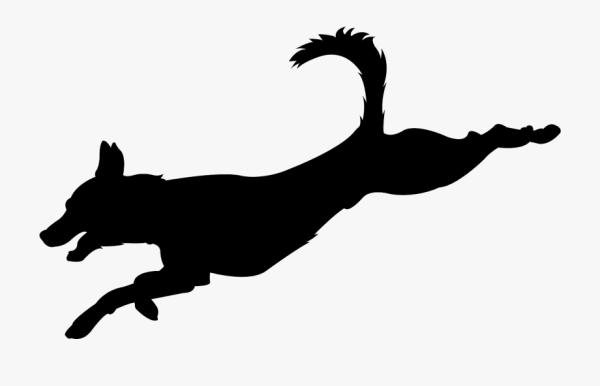 Раскраска такса