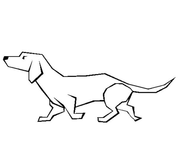 Тень собаки