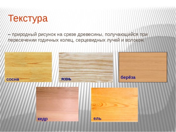 Виды текстуры древесины