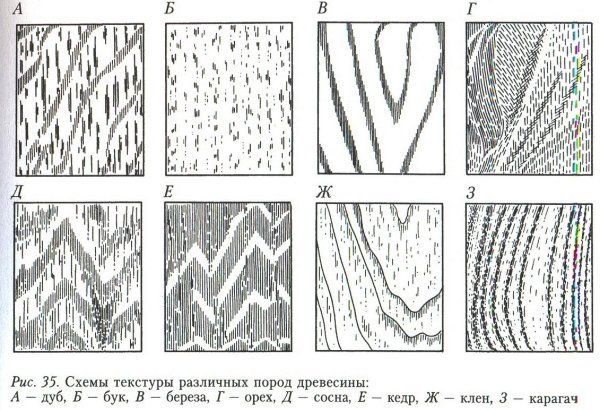 Текстуры пород древесины