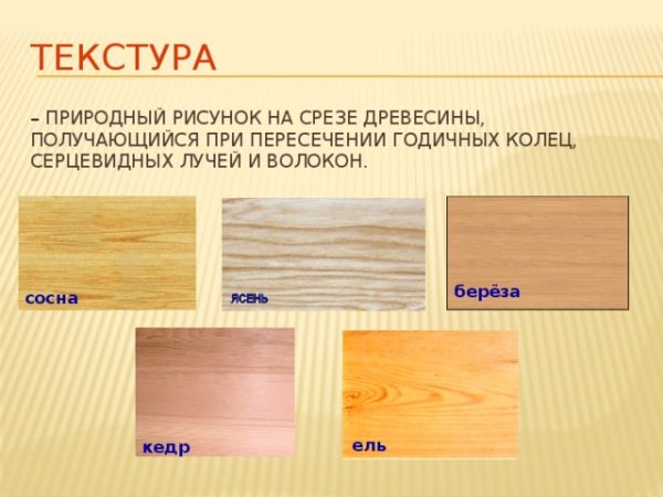 Древесина ели и сосны