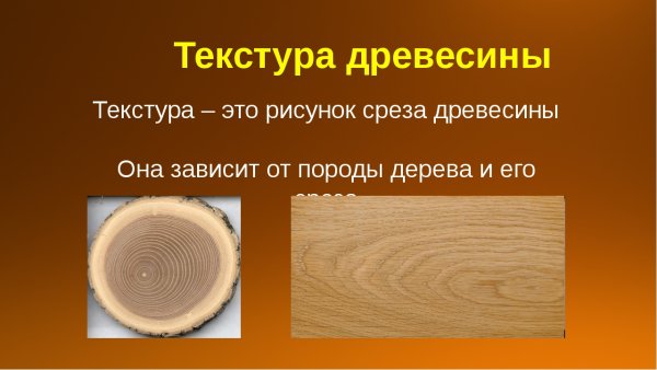 Текстура дерева характеристика