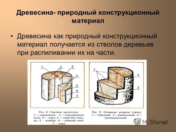 Древесные конструкционные материалы