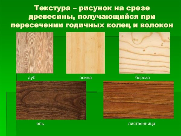 Структура разных пород дерева