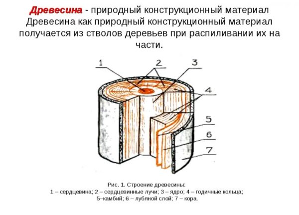 Хим строение древесины
