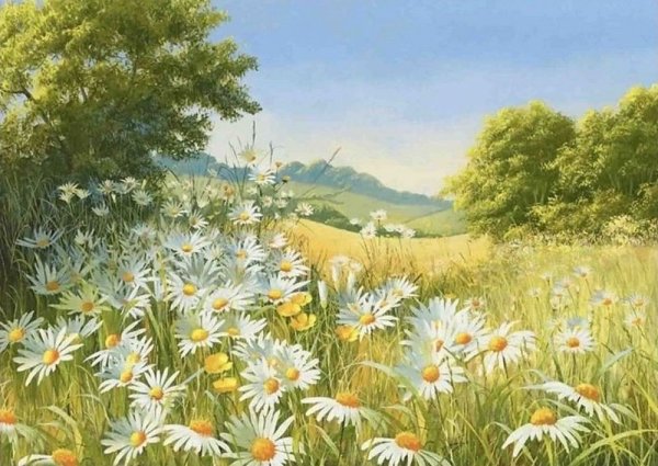 Мэри Дипнолл (Mary Dipnall)