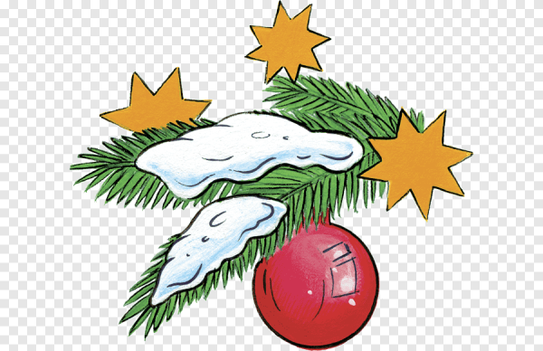 Белые еловые ветки