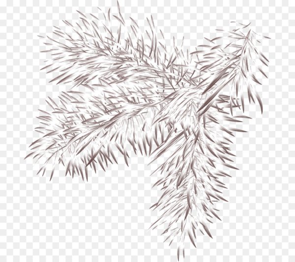 Еловая ветка трафарет