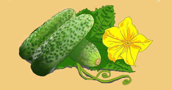 Огурец мультяшный