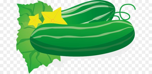 Огурец вектор