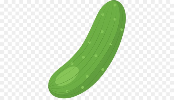 Огурец вектор