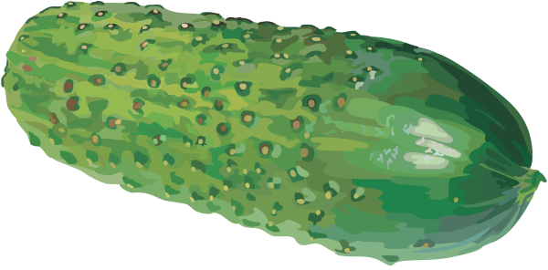 Огурец на прозрачном фоне