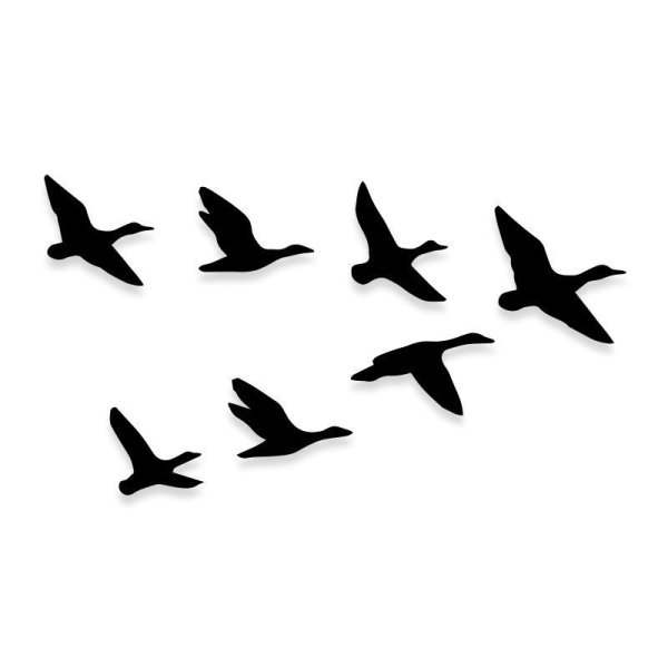 Птицы улетают на прозрачном фоне