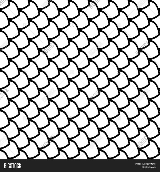 Чешуя Графика