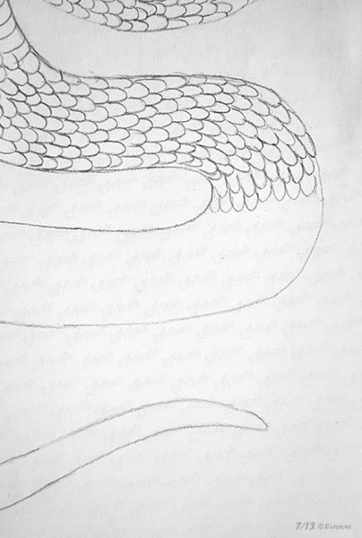 Рисование змеиной чешуи