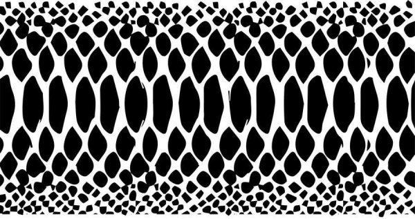 Шкура змеи вектор