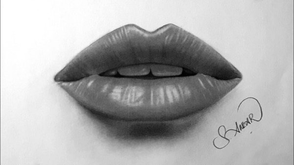 Губы рисунок