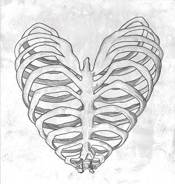 Сердце из ребер