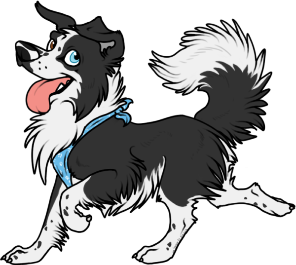 Бордер колли хроники стаи