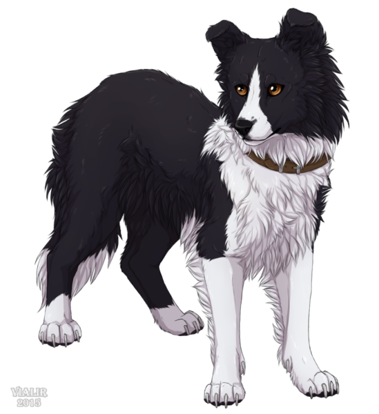 Хроники стаи Альфа