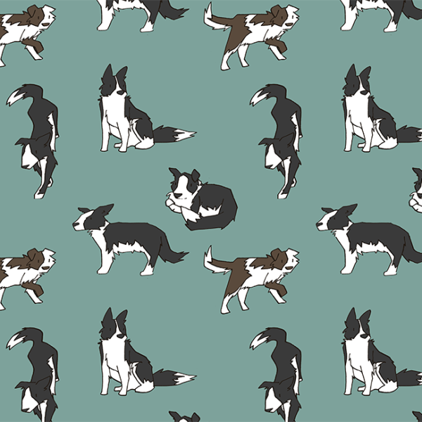 Бордер колли арт референс