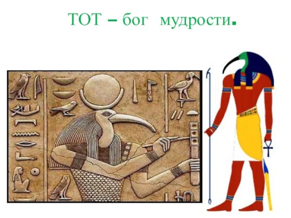 Тот Бог мудрости в древнем Египте