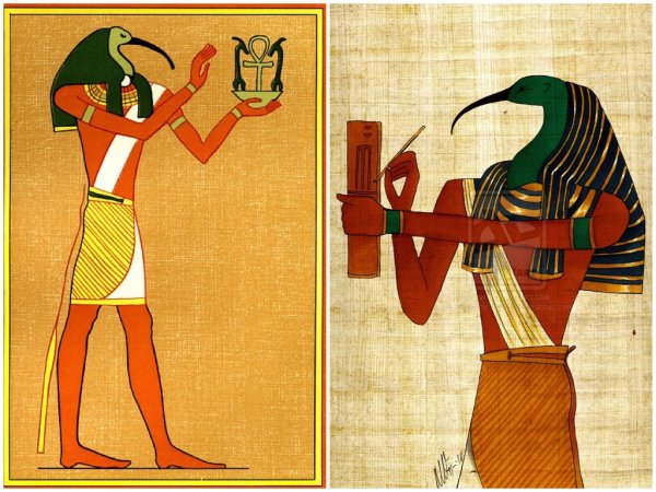 Ибис божество в Египте