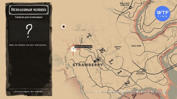 Задания Red Dead Redemption 2