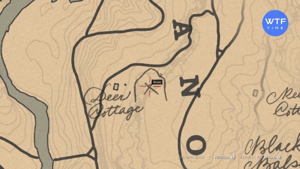 Карта наскальных рисунков rdr2