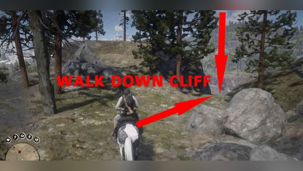Red Dead Redemption 2 наскальные