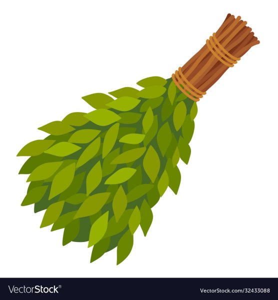Березовый веник вектор