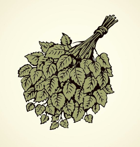 Березовый веник вектор